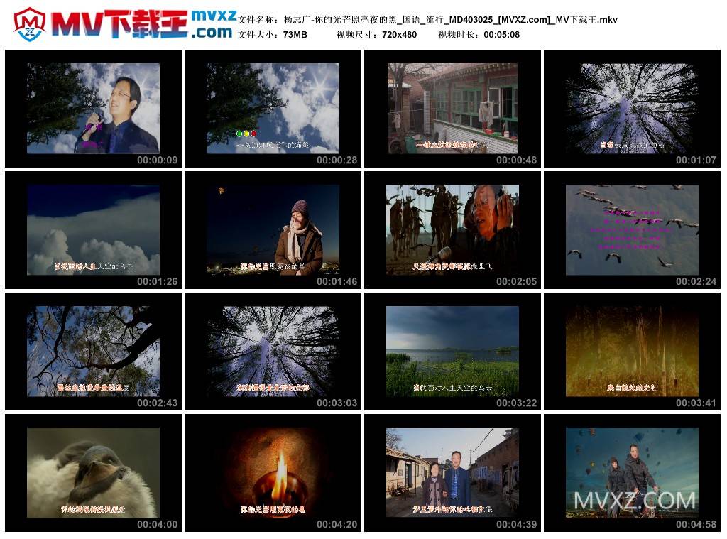 杨志广-你的光芒照亮夜的黑_国语_流行_MD403025